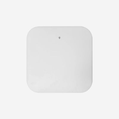 3000M Dual Band Ceiling Mounted Access Point With 1 WAN/LAN Port And 1 LAN Port